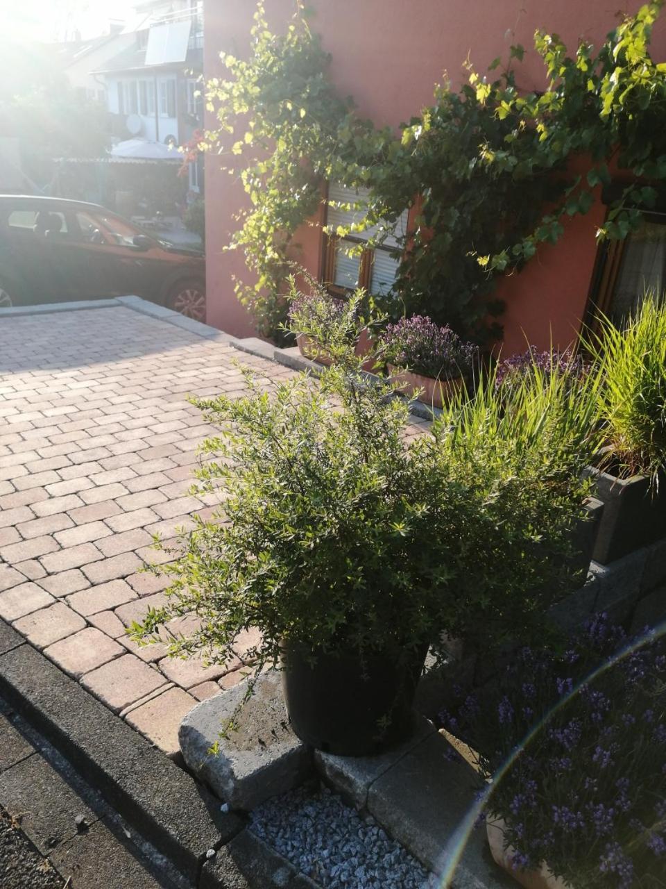 Haus Meersburg See Zewnętrze zdjęcie